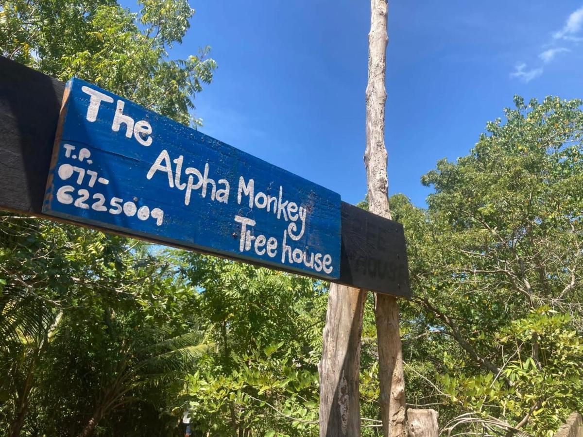 The Alpha Monkey Hotel & Tree House Тангалла Экстерьер фото