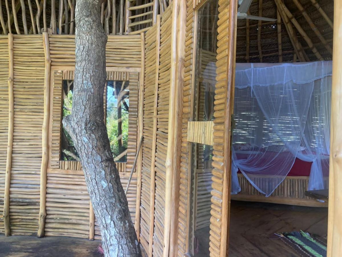 The Alpha Monkey Hotel & Tree House Тангалла Экстерьер фото