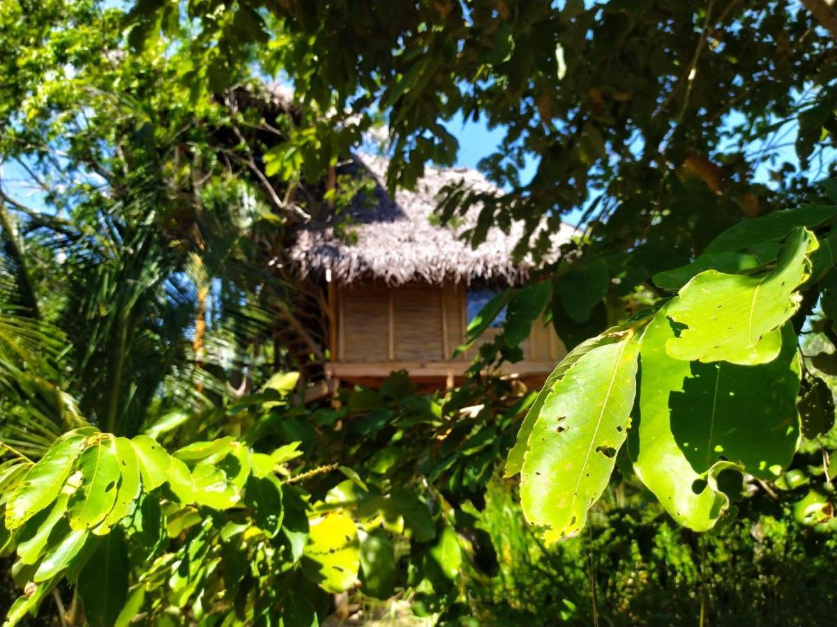 The Alpha Monkey Hotel & Tree House Тангалла Экстерьер фото