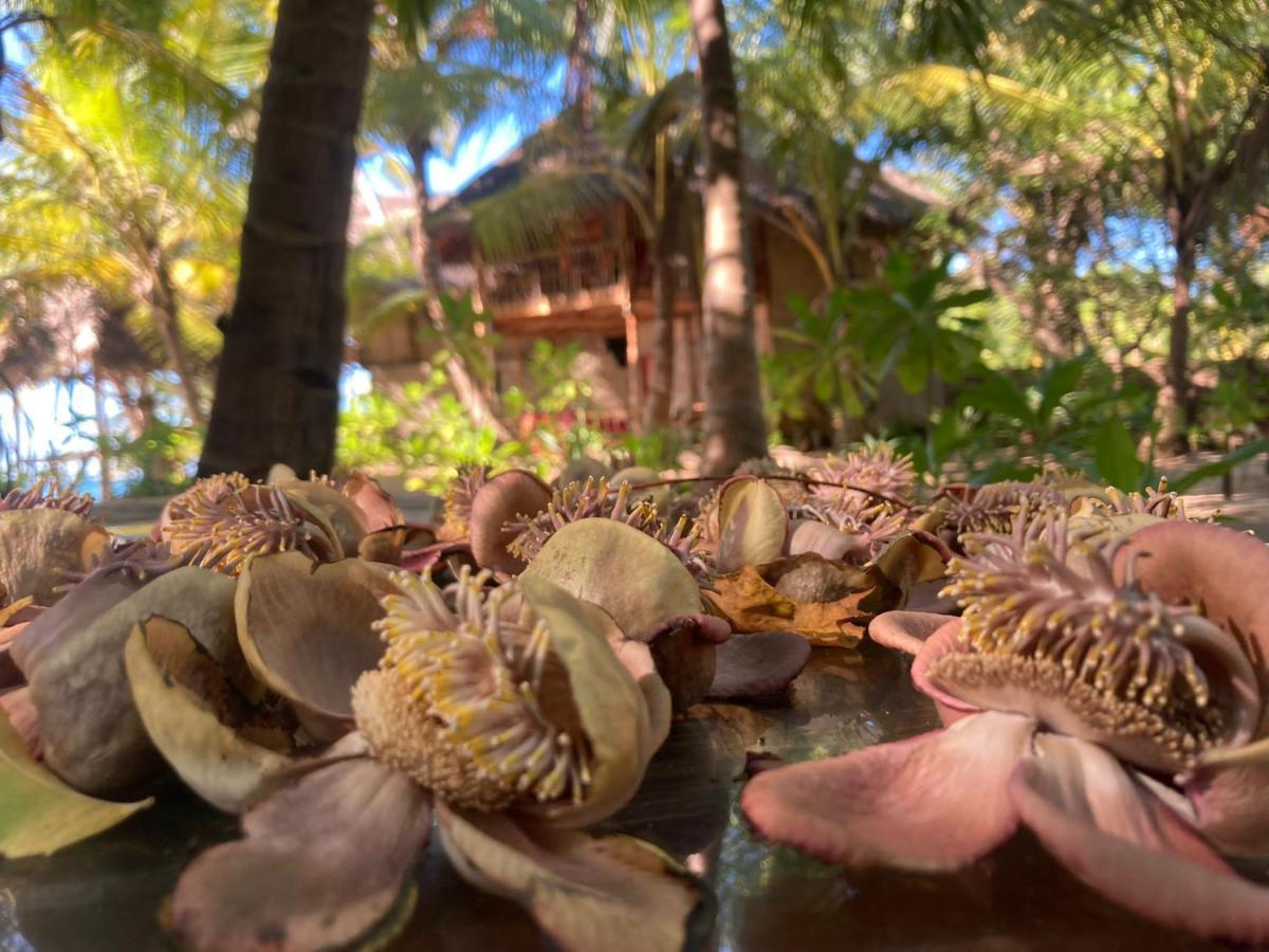 The Alpha Monkey Hotel & Tree House Тангалла Экстерьер фото