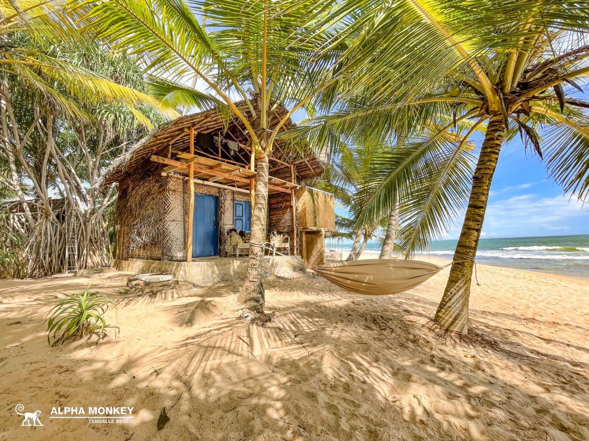 The Alpha Monkey Hotel & Tree House Тангалла Экстерьер фото