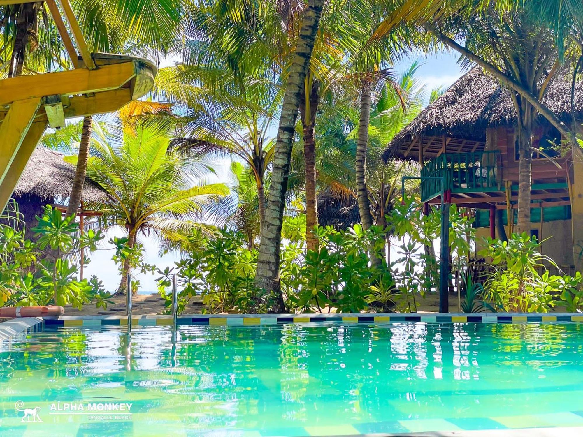 The Alpha Monkey Hotel & Tree House Тангалла Экстерьер фото