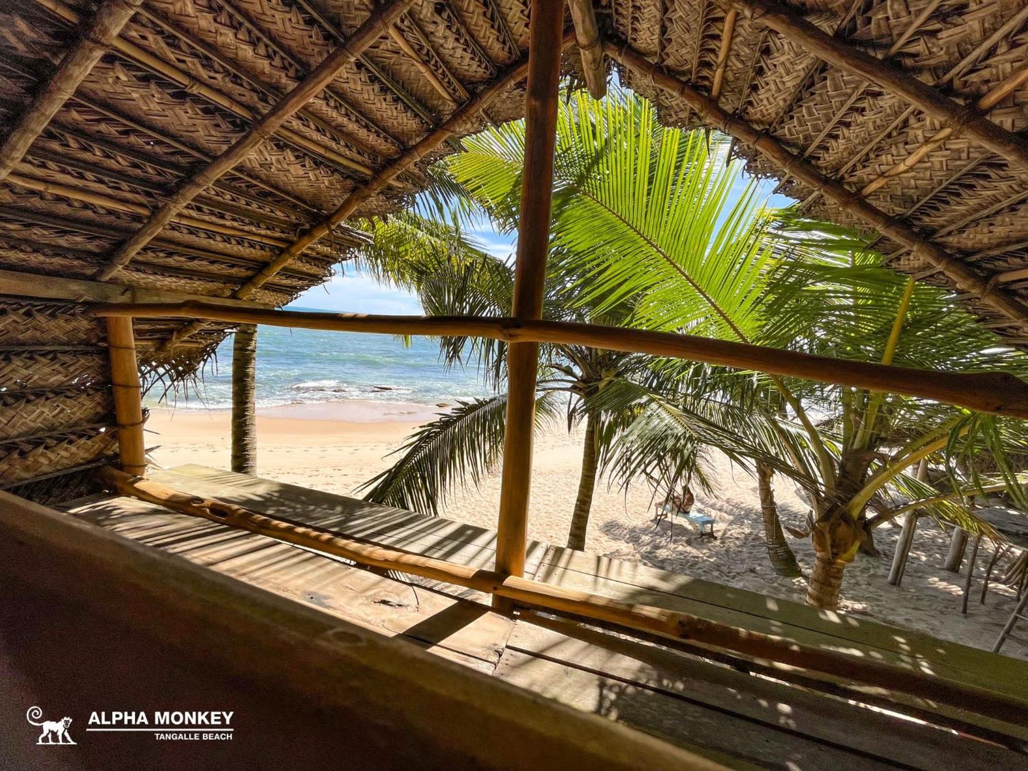 The Alpha Monkey Hotel & Tree House Тангалла Экстерьер фото