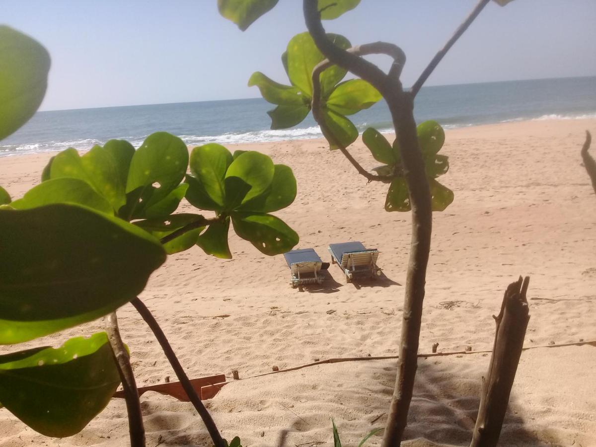 The Alpha Monkey Hotel & Tree House Тангалла Экстерьер фото